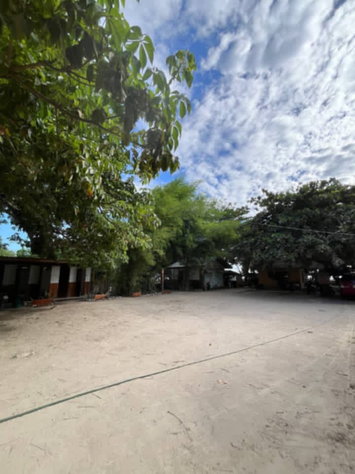 Parking 3