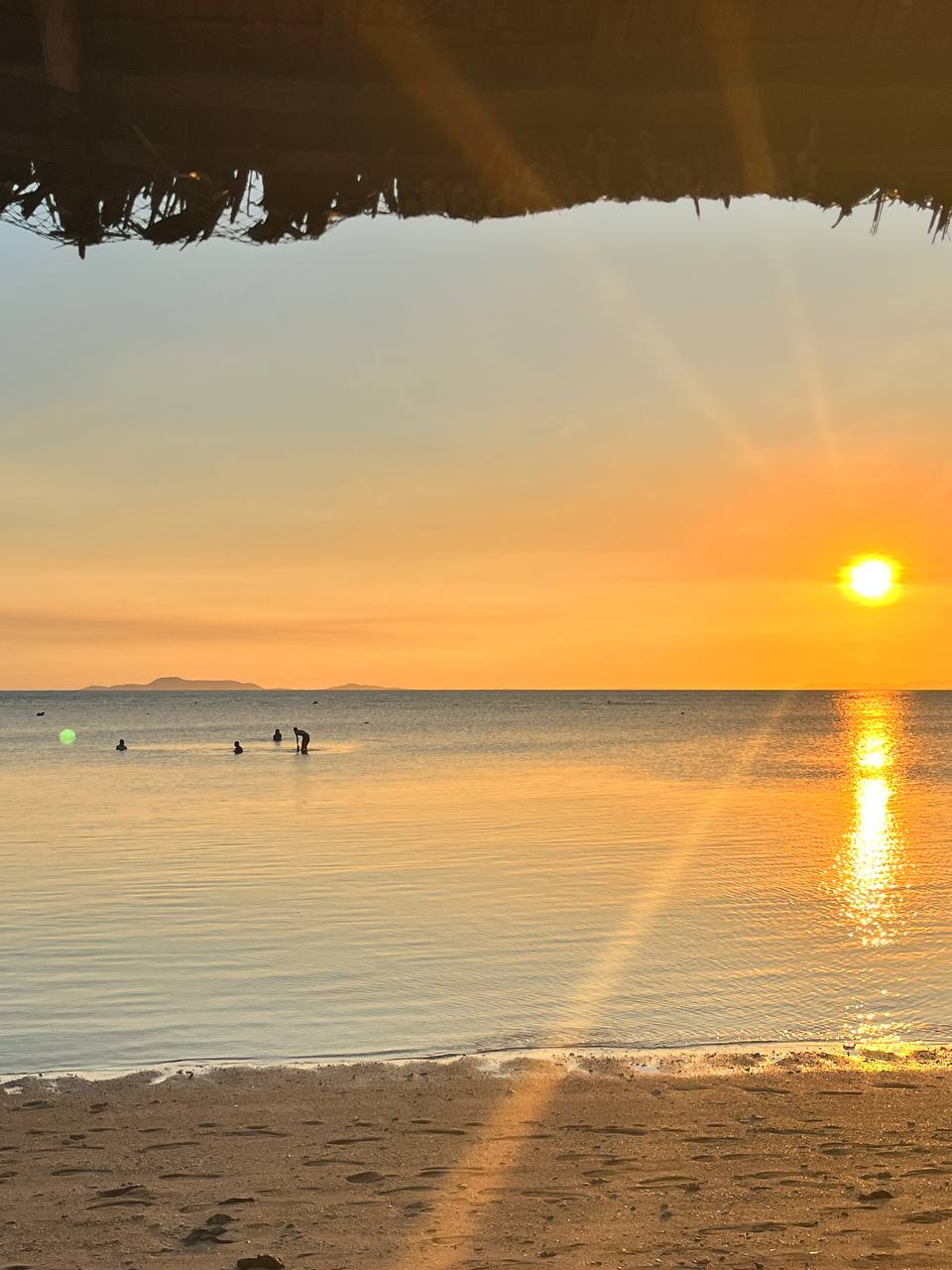 Shoreline 2